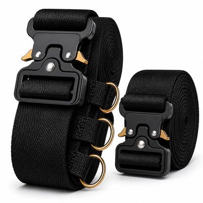 Metal Buckle Heavy Duty Luggage Straps, 2 Pack 10ft x 2in Tie Down Straps